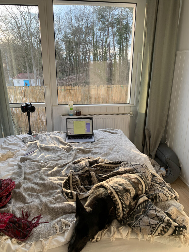 Ein Bett, auf dem im Vordergrund ein Hund liegt und schläft. Auf dem hinteren Teil des Bettes ist ein aufgeklappter Laptop zu sehen. Im Hintergrund kann man durch die Fensterfront nach draußen auf Bäume schauen.